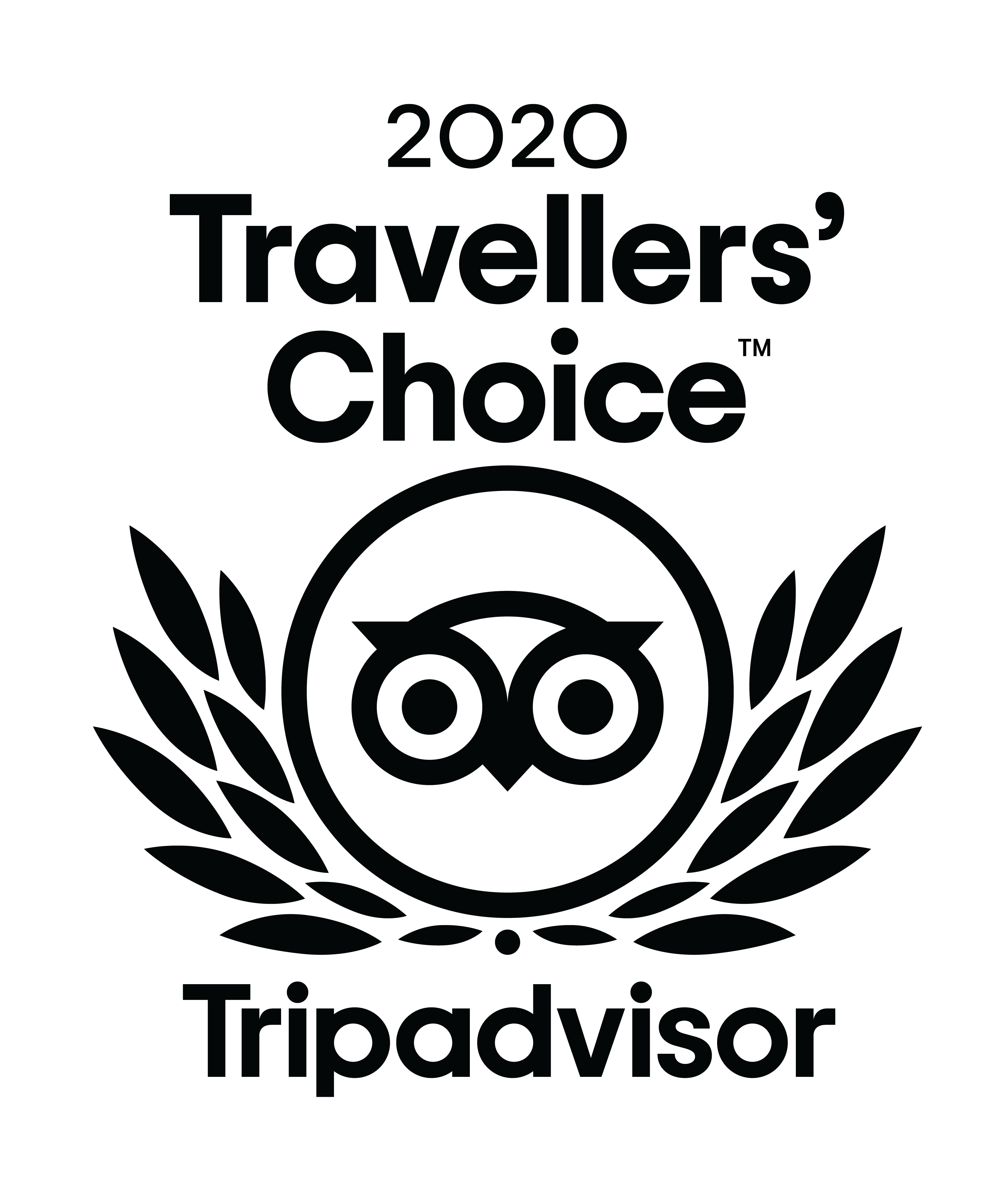 Traveler's guide - Palma Quad