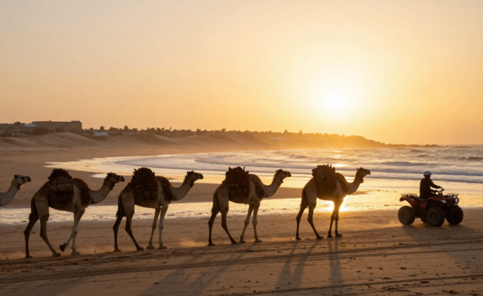 Camel Ride vs Quad Bike Tour in Essaouira: Which Is Better for You?