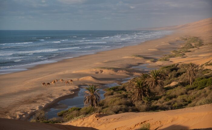 Cap Sim Beach Essaouira: The Wild Atlantic Shore Worth the Ride